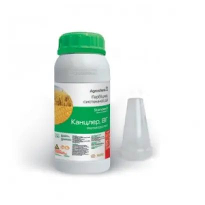 Канцлер в.г.