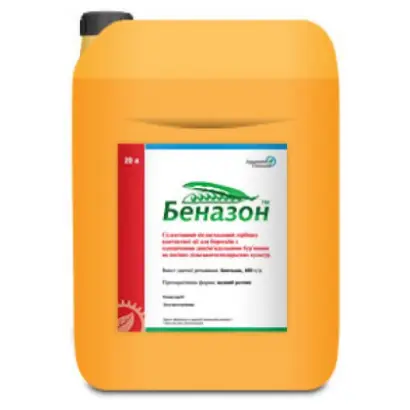 БЕНАЗОН В.Р.