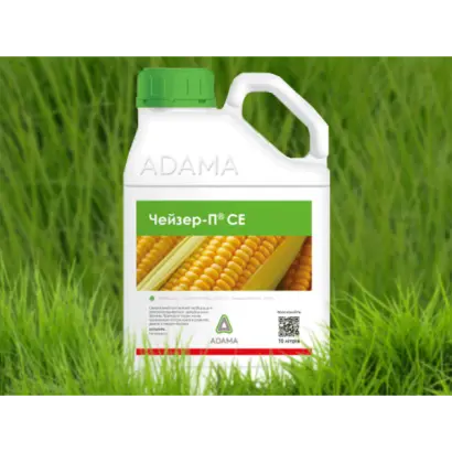 Чейзер –П, с.е.