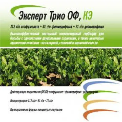 ЕКСПЕРТ ТРІО