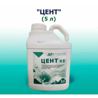 Централь, КЕ