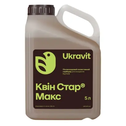 КВІН СТАР МАКС