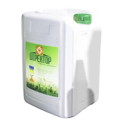 Директор, РК