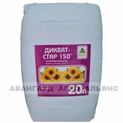 ДИКВАТ-СТАР