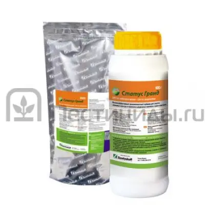 Статус Гранд РГ