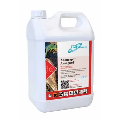 Авангард КЕ