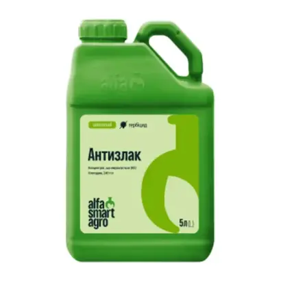 АНТИЗЛАК