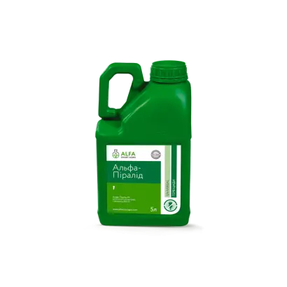 АЛЬФА-ПИРАЛИД, РК