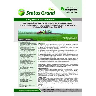 Статус Гранд ВГ