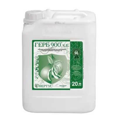 Астанес 900, КЕ