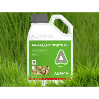 Бельведер КС