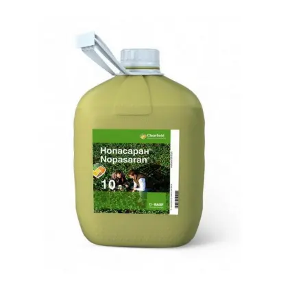 НОПАСАРАН КС