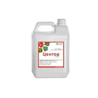 Центор