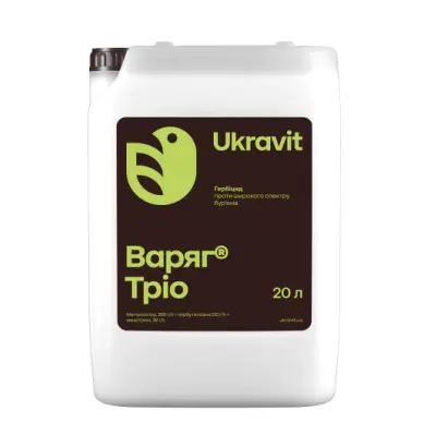 ВАРЯГ ТРІО, СЕ