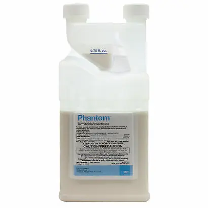 ФАНТОМ ЕС, КЕ