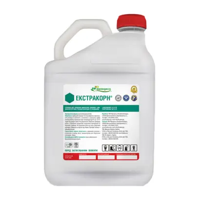 Екстракорн