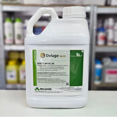 Астероїд 960 EC