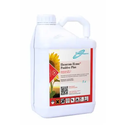 ПОЗИТИВ ПЛЮС, КС