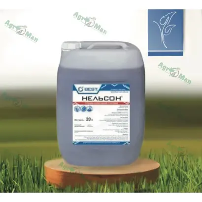 НЕЛЬСОН, КС