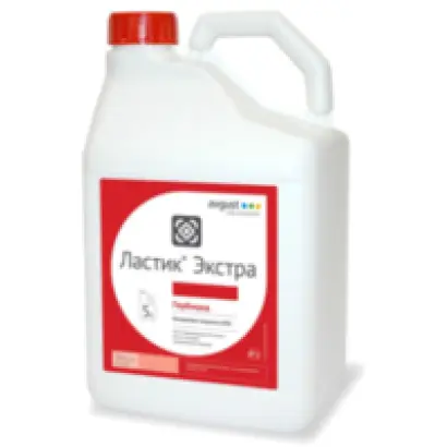 Ластік Екстра