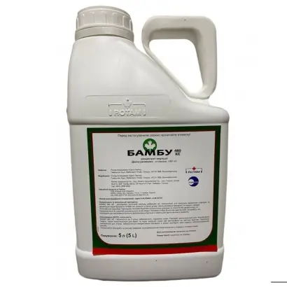 БАМБУ 480, КЕ