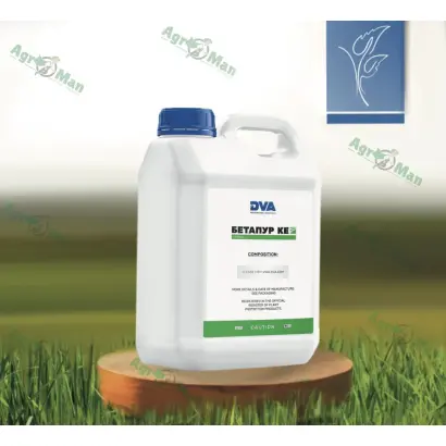 Бетапур, КЕ