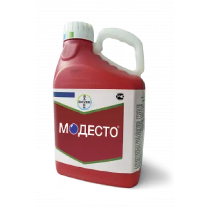 Модесто 480FS