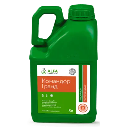 Командор Гранд