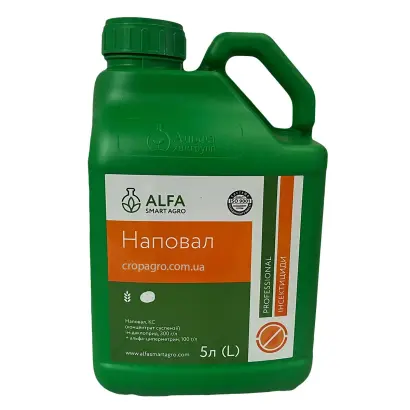 Наповал, КС