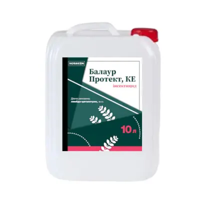 Балаур Протект