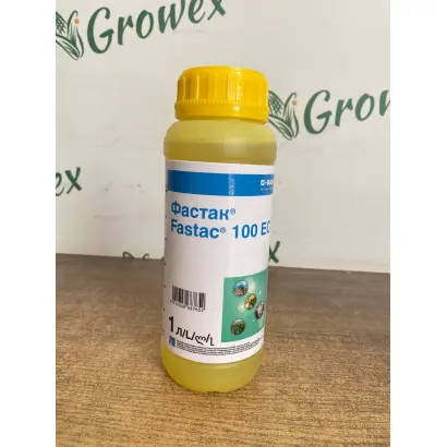 Фастак