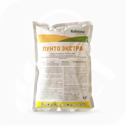 Пунто Екстра