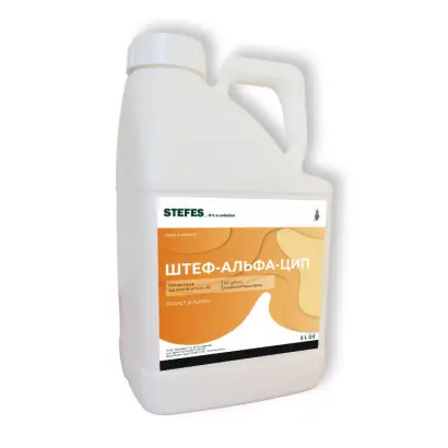 Штеф-альфа-цип