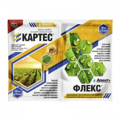 Картес/Каrtes