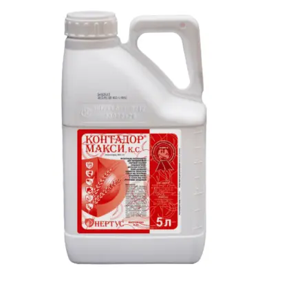 Контадор Макси