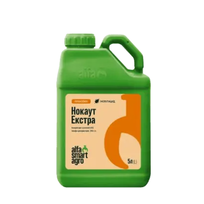 Нокаут Екстра