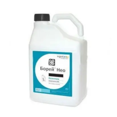 Клотер Тріо