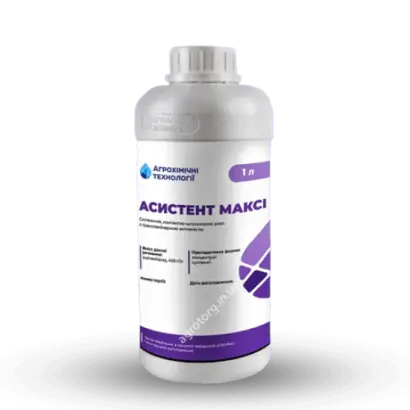 Асистент Максі