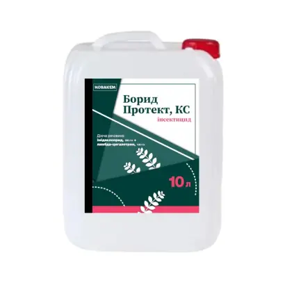 Борид Протект