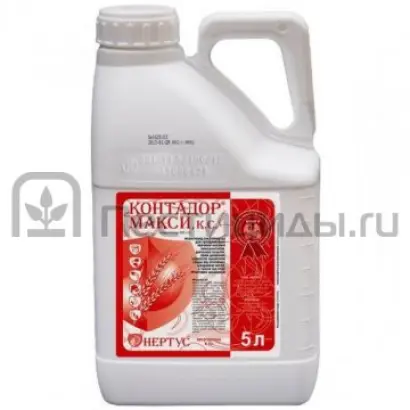 Контадор Макси