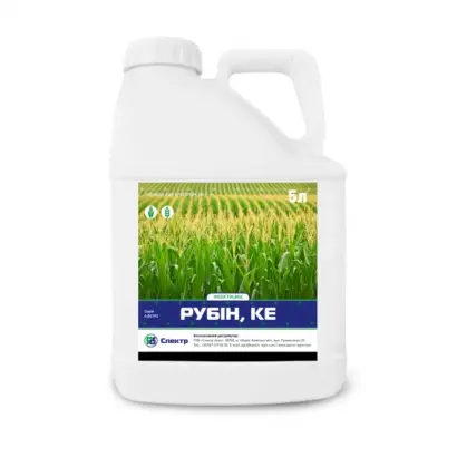 РУБІН, КЕ