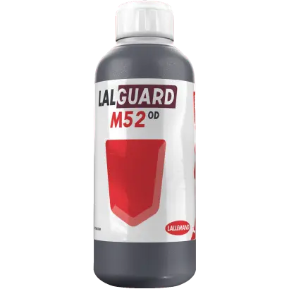 ЛАЛГАРД М52