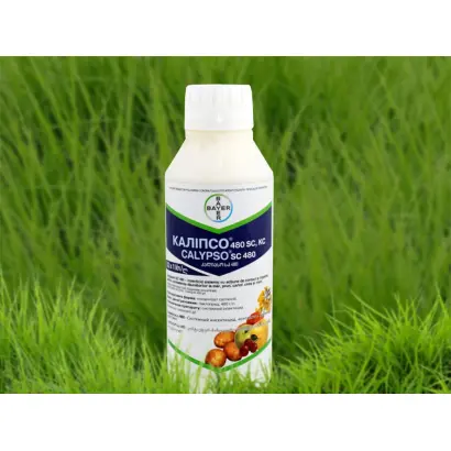 Каліпсо 480 SC к.с., (тіаклоприд, 480 г/л)