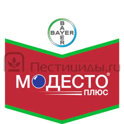 Модесто 480 FS