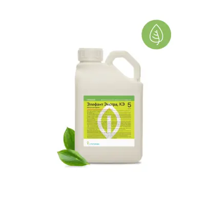 Стрикция к.е.