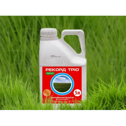 РЕКОРД-ТРІО