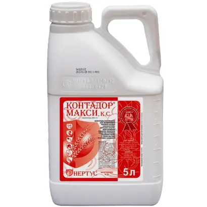 КОНТАДОР МАКСИ К.С.