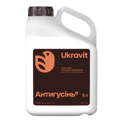 АНТИГУСІНЬ