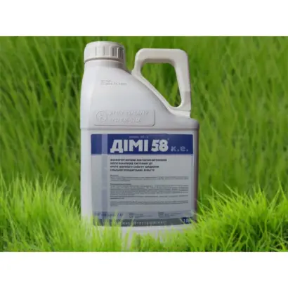 Димі 58