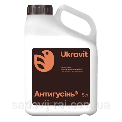 АНТИГУСІНЬ